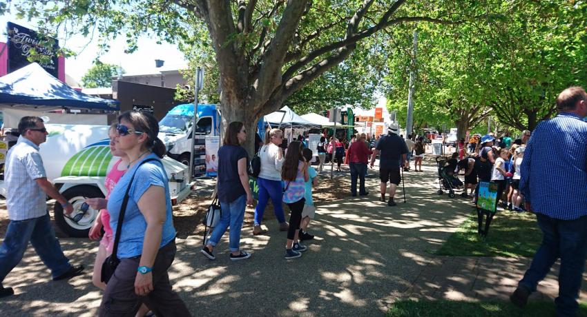 Bacchus Marsh Strawberry & Cherry Festival 